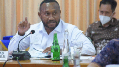 Yan Mandenas Desak Pemerintah Tertibkan Izin Tambang di Tanah Papua