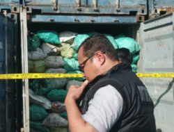 Polri Bongkar Tambang Batu Bara Ilegal di Kawasan Konservasi IKN, Negara Rugi Triliunan