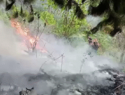 BNPB: Kebakaran Hutan dan Lahan Melanda Sejumlah Wilayah Indonesia dalam 24 Jam
