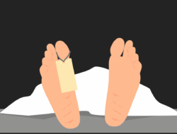 Seorang Wanita Diduga Meninggal Usai Sedot Lemak, Polisi Cek Lokasi