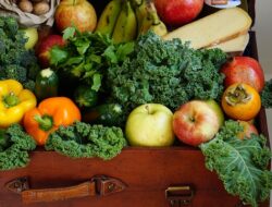 Ini Pentingnya Konsumsi Sayur dan Buah untuk Kesehatan