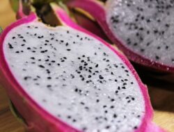 Ini 5 Manfaat Buah Naga Bagi Kesehatan dan Kecantikan