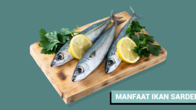 5 Manfaat Konsumsi Ikan Sarden, Diantaraya Baik untuk Kesehatan Otak