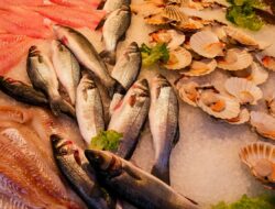 Jarang Didengar, Ini Khasiat Ikan Belana bagi Tubuh