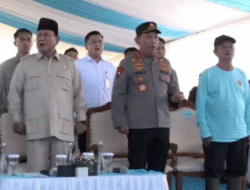 Panen Raya Jagung Kuartal II Capai 2,54 Juta Ton, Kalbar Catat Produksi Signifikan