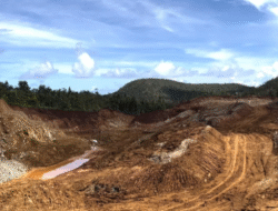 Lima Perusahaan Tambang Dapat Izin Beroperasi di Raja Ampat, Papua Barat Daya