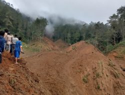 Tanah Longsor Terjang Pemalang, Dua Warga Dilaporkan Hilang di Area Perhutani