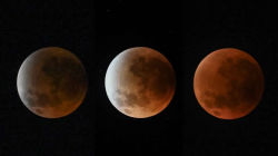 Jadwal dan Lokasi Puncak Gerhana Bulan Total 3 Maret 2026 Menurut BMKG